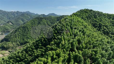 竹山秉峰